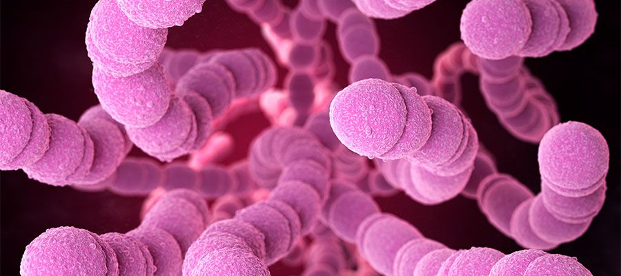 cáncer y bacterias