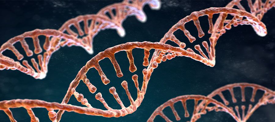 10-factores-de-riesgo-sobre-Cancer-de-Mama-mutacion-genetica-vida-y-salud