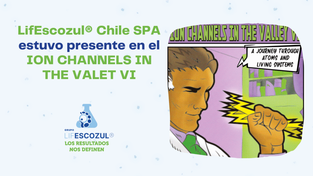 Evento ION CHANNELS IN THE VALET VI principal